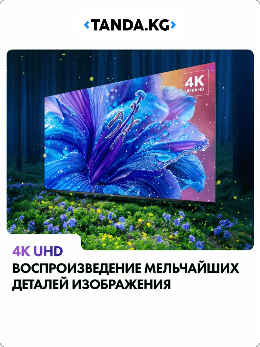 Телевизор Haier - диагональ 50, Smart TV S2